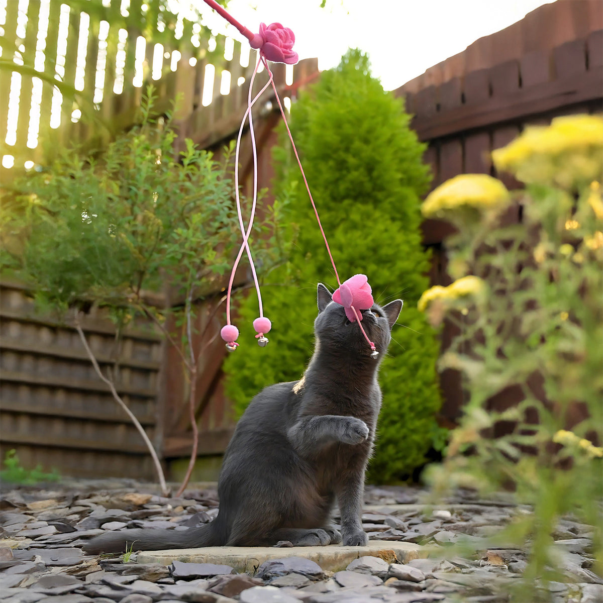 Cath Kidston Dolly Rose Cat Teaser Set | 2pcs