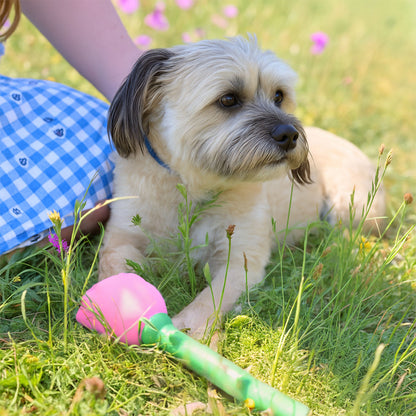 Cath Kidston Dolly Rose Latex Dog Toy Set | 2pcs