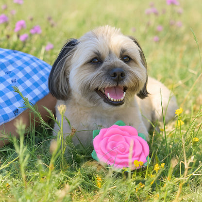 Cath Kidston Dolly Rose Latex Dog Toy Set | 2pcs