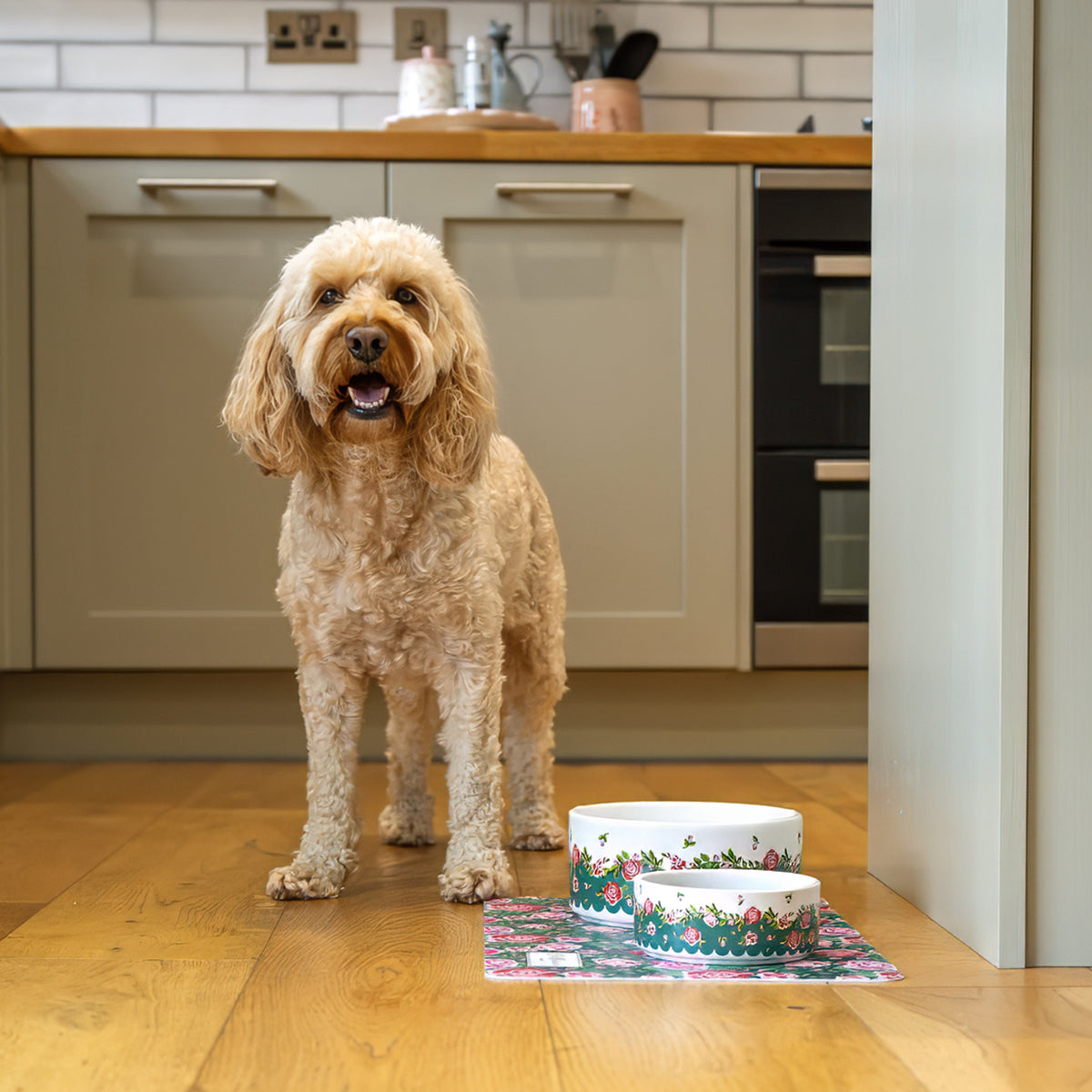 Cath Kidston Dolly Rose Ceramic Pet Bowl Twin Pack | S/M