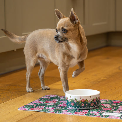 Cath Kidston Dolly Rose Ceramic Pet Bowl Twin Pack | S/M