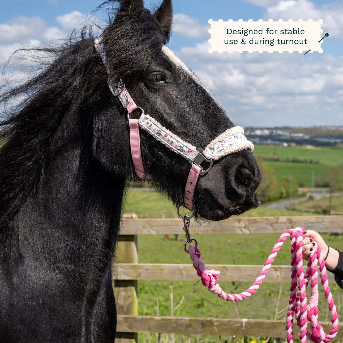 Cath Kidston Equestrian Cowgirl Headcollar & Lead Rope Set