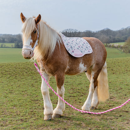 Cath Kidston Equestrian Cowgirl Headcollar & Lead Rope Set