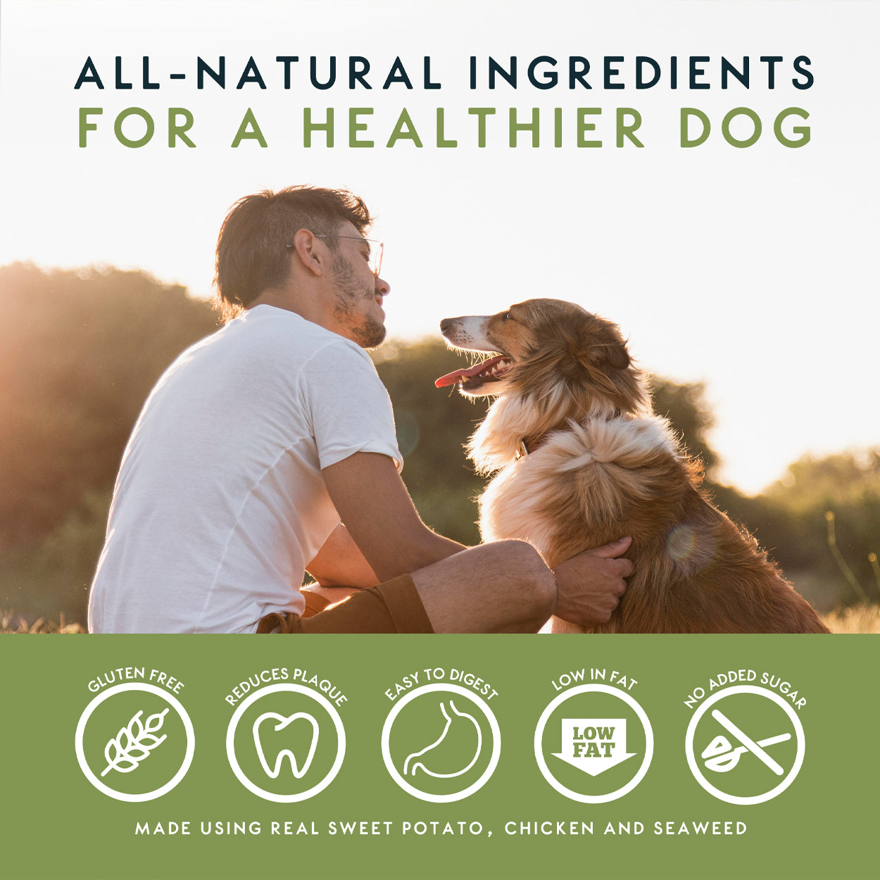 Elkwood Seaweed & Vegetable Dental Dog Chews | Medium Value Pack | 4 Packs