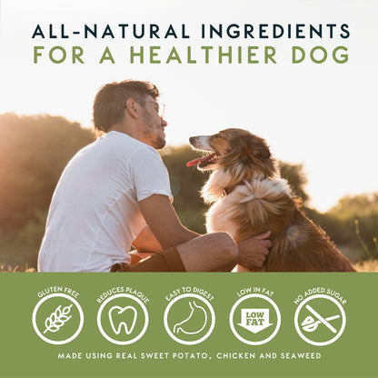 Elkwood Seaweed & Vegetable Dental Dog Chews | Medium Value Pack | 4 Packs
