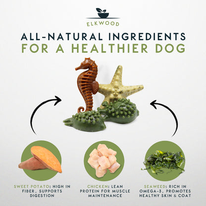 Elkwood Seaweed & Vegetable Dental Dog Chews | Medium Value Pack | 4 Packs