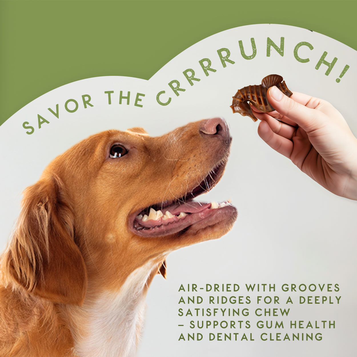 Elkwood Seaweed & Vegetable Dental Dog Chews | Medium Value Pack | 4 Packs