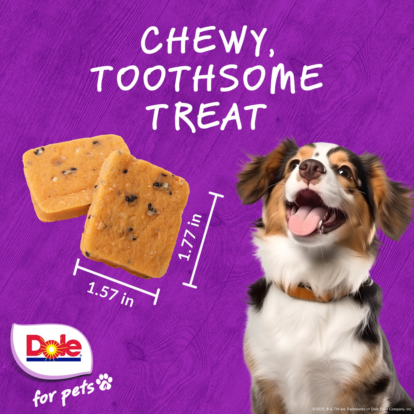 Dole Plant Based Banana & Dragonfruit Dog Jerky