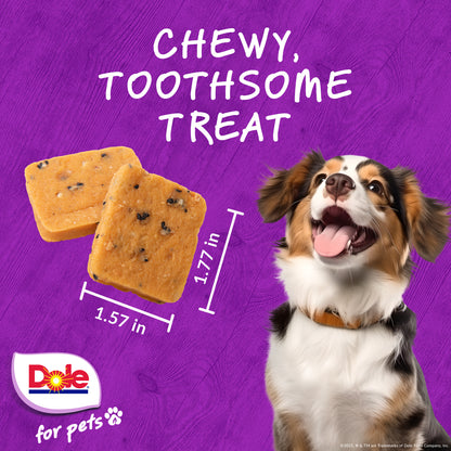 Dole Plant Based Banana & Dragonfruit Dog Jerky