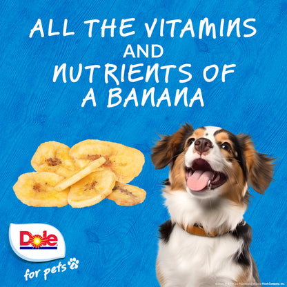 Dole Air Dried Banana Dog Chips