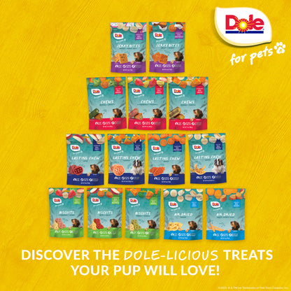 Dole Air Dried Banana Dog Chips