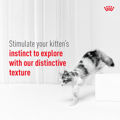 Royal Canin Sensory Kitten Feel Chunks In Gravy