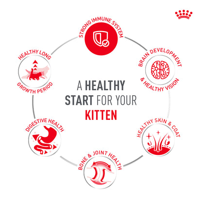 Royal Canin Sensory Kitten Feel Chunks In Gravy