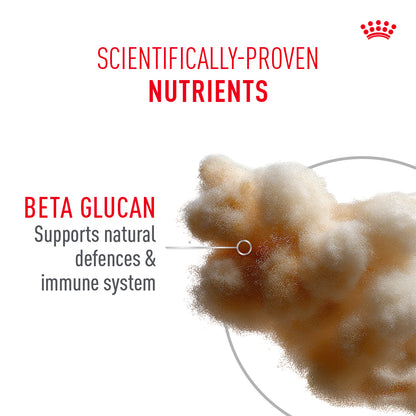Royal Canin Sensory Kitten Feel Chunks In Gravy