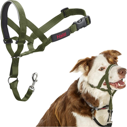 Halti Train Headcollar Forest Green