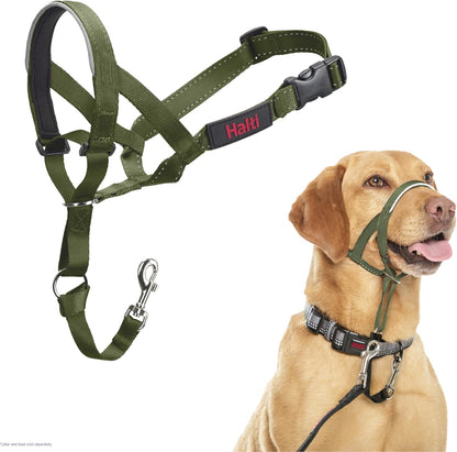 Halti Train Headcollar Forest Green