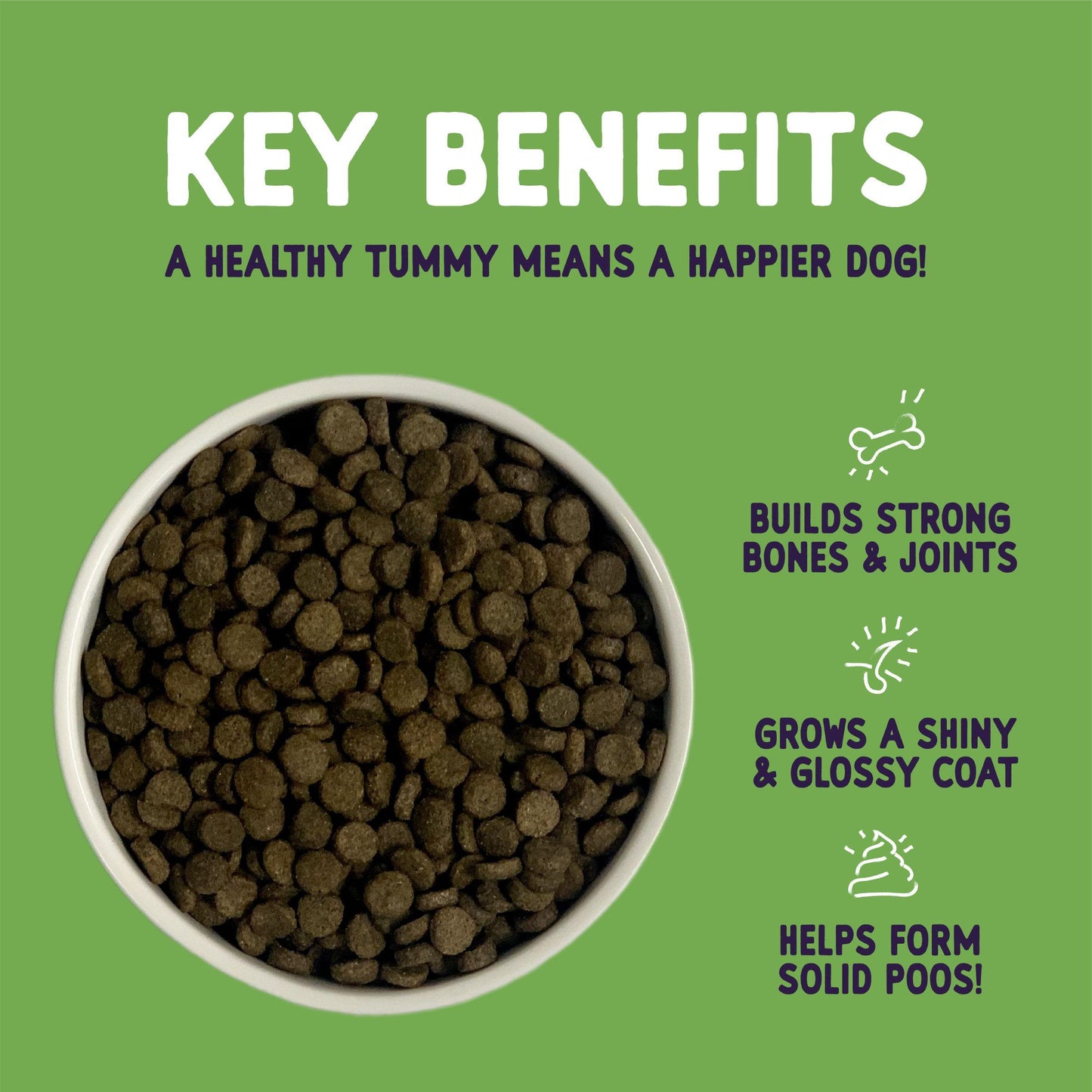 Burgess Sensitive Hypoallergenic Adult Complete Dry Dog Food - Lamb & Rice