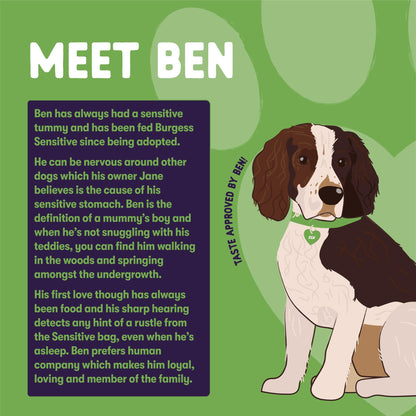 Burgess Sensitive Hypoallergenic Adult Complete Dry Dog Food - Lamb & Rice