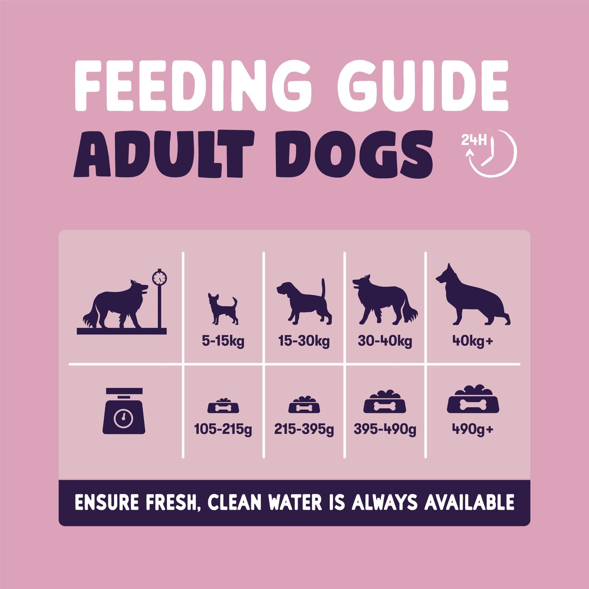 How Much Food Should I Feed My Adult Dog: Expert Feeding Guide