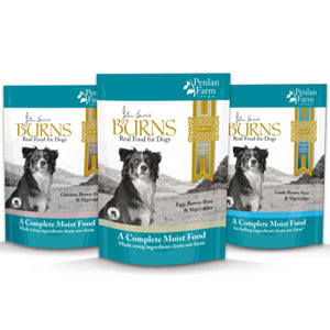Burns Penlan Farm Senior Wet Dog Food Pouches - Lamb, Brown Rice & Vegetables