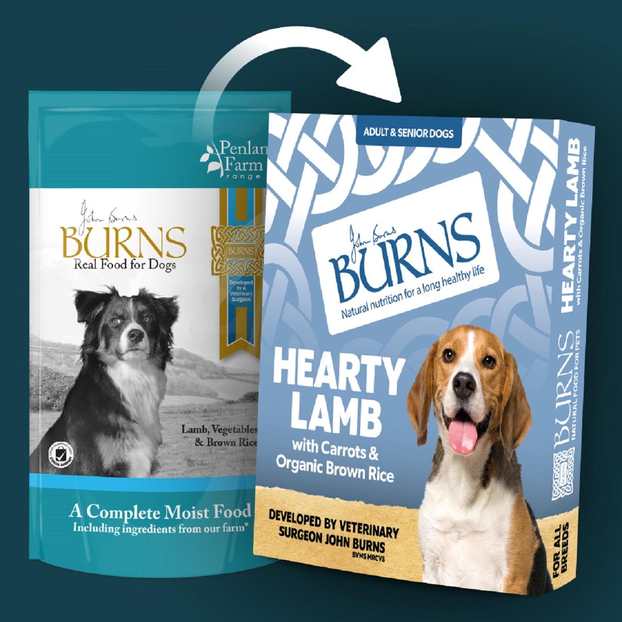 Burns Penlan Farm Senior Wet Dog Food Pouches - Lamb, Brown Rice & Vegetables