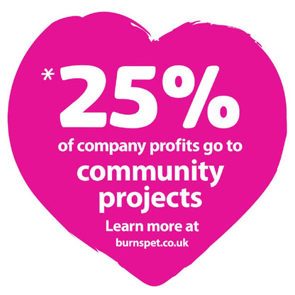 Burns Penlan Farm Senior Wet Dog Food Pouches - Lamb, Brown Rice & Vegetables