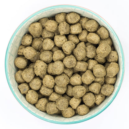 Burns Sensitive Adult Dry Dog Food - Pork & Potato