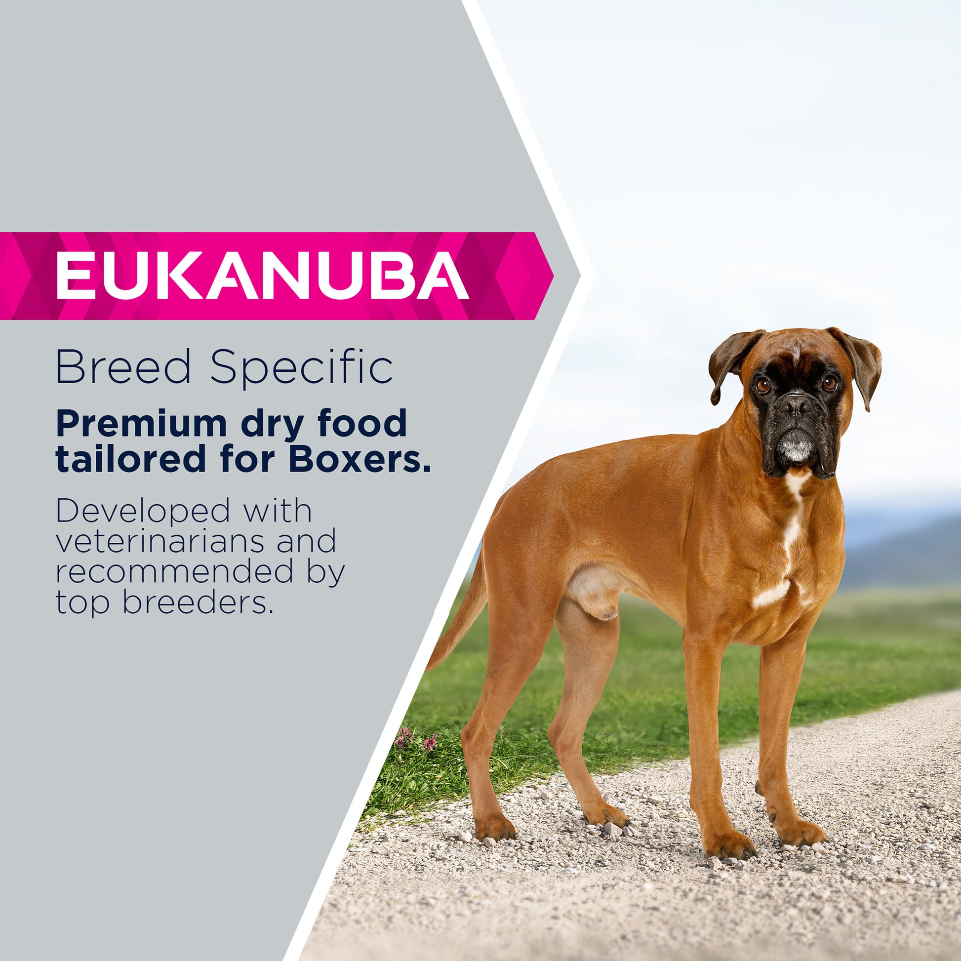 Boxer Dog Healthy Weight Eukanuba Breed Specific Boxer Adult Dry Dog Food – Pet Supermarket