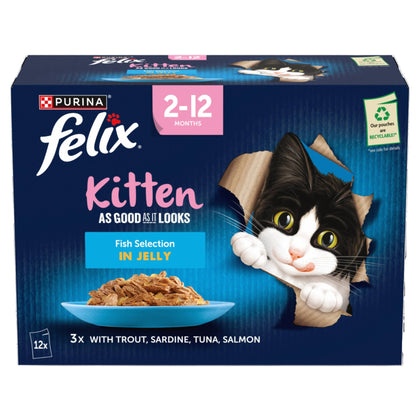 Felix As Good As it Looks Kitten Fish in Jelly Wet Cat Food