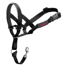 HALTI Headcollar Black