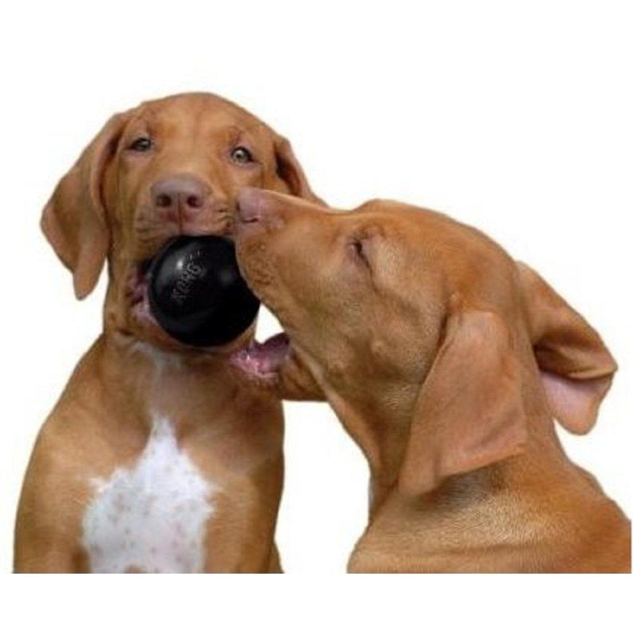 KONG Extreme Ball in Black