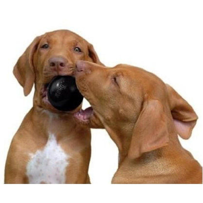 KONG Extreme Ball in Black