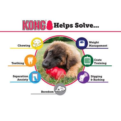 KONG Extreme Black Chew Dog Toy
