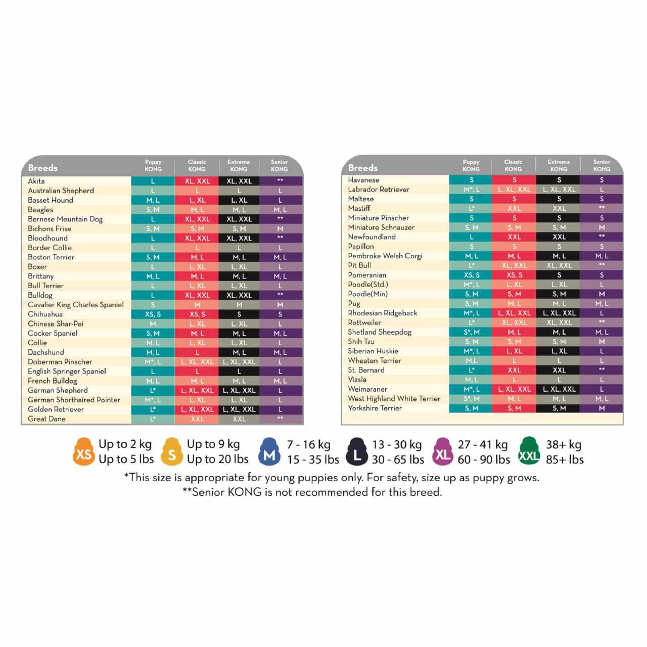 KONG Extreme Black Chew Dog Toy