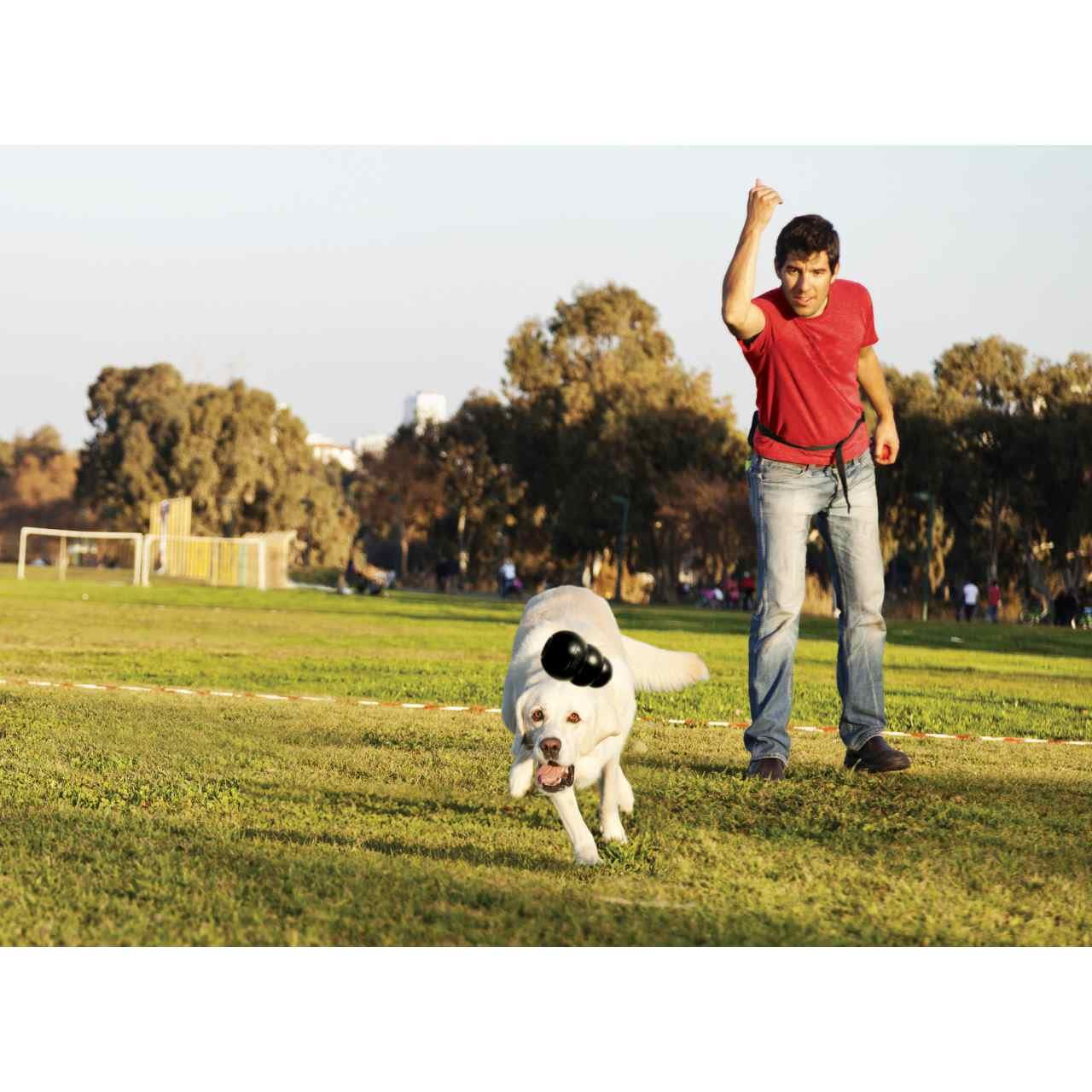 KONG Extreme Black Chew Dog Toy