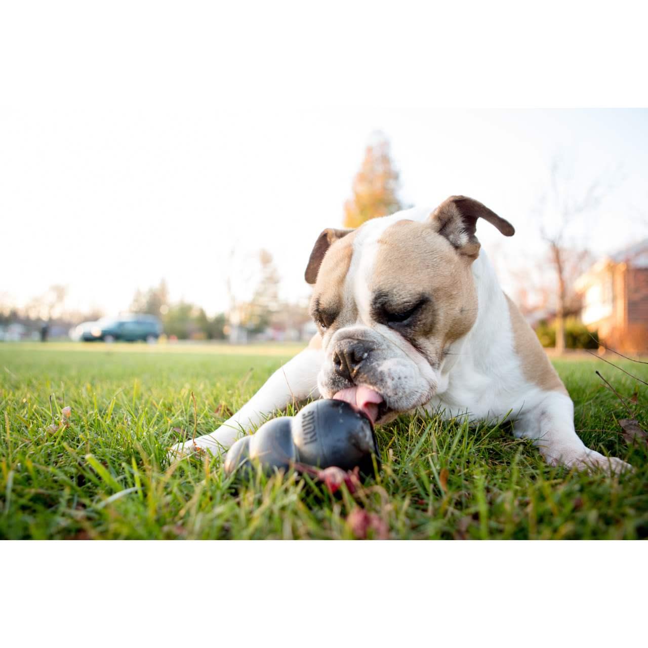 KONG Extreme Black Chew Dog Toy