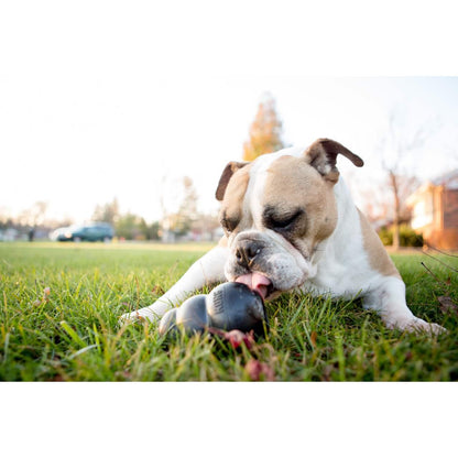 KONG Extreme Black Chew Dog Toy