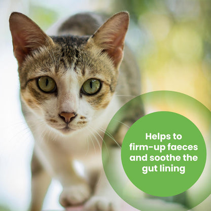 Protexin Pro-Kolin Probiotic Paste for Dog & Cat 60ml