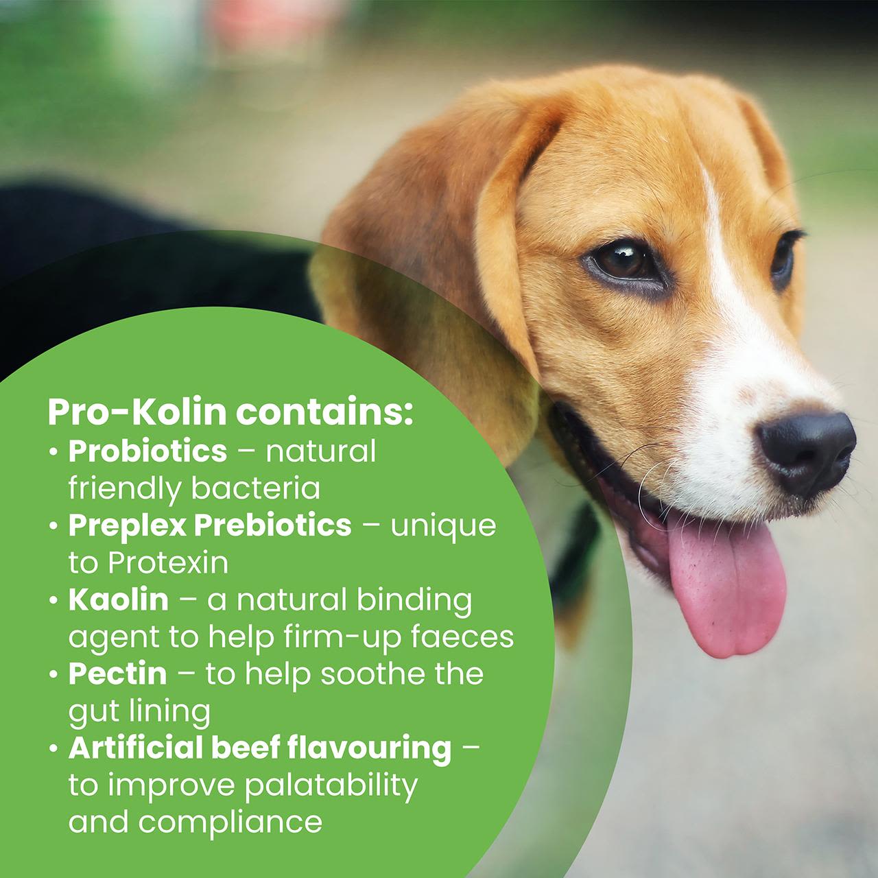 Protexin Pro-Kolin Probiotic Paste for Dog & Cat 60ml