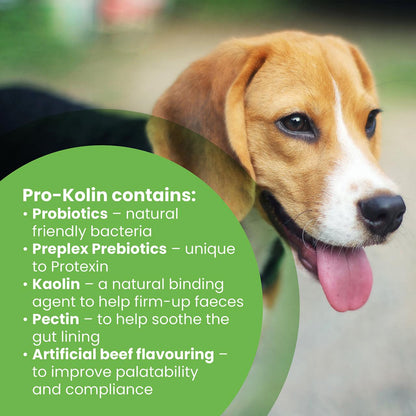 Protexin Pro-Kolin Probiotic Paste for Dog & Cat 60ml