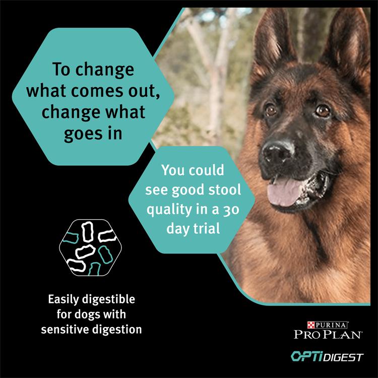 Purina Pro Plan Sensitive Digestion Medium Adult Dry Dog Food - Lamb