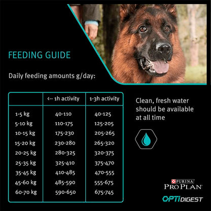 How Much Food Should an Adult Dog Eat Per Day: Ultimate Guide