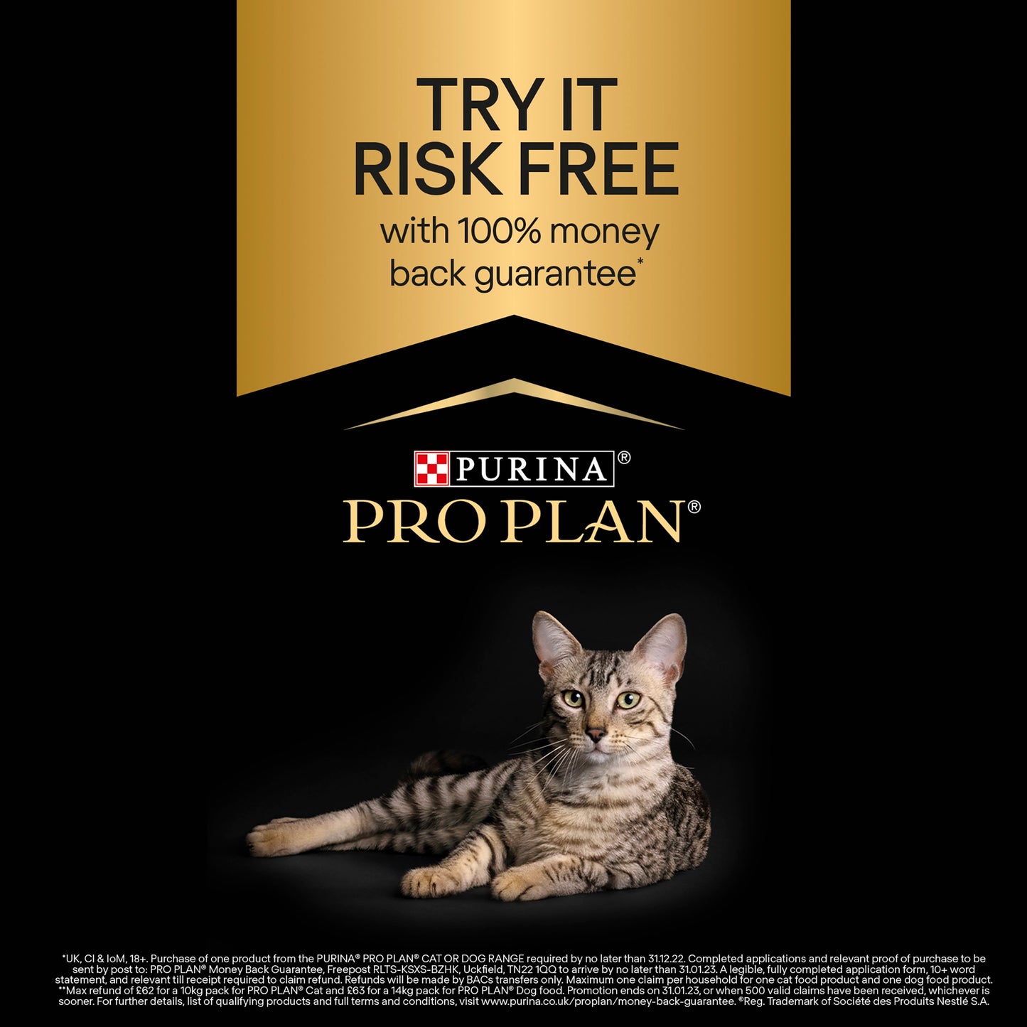 Pro Plan Light Optirenal Adult Dry Cat Food - Turkey & Rice