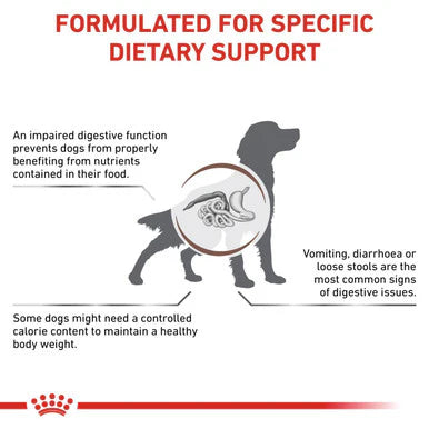 Royal Canin Gastrointestinal Moderate Calorie Adult Dry Dog Food