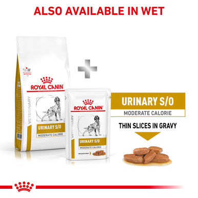 Royal Canin Urinary S/O Moderate Calorie Adult Dry Dog Food