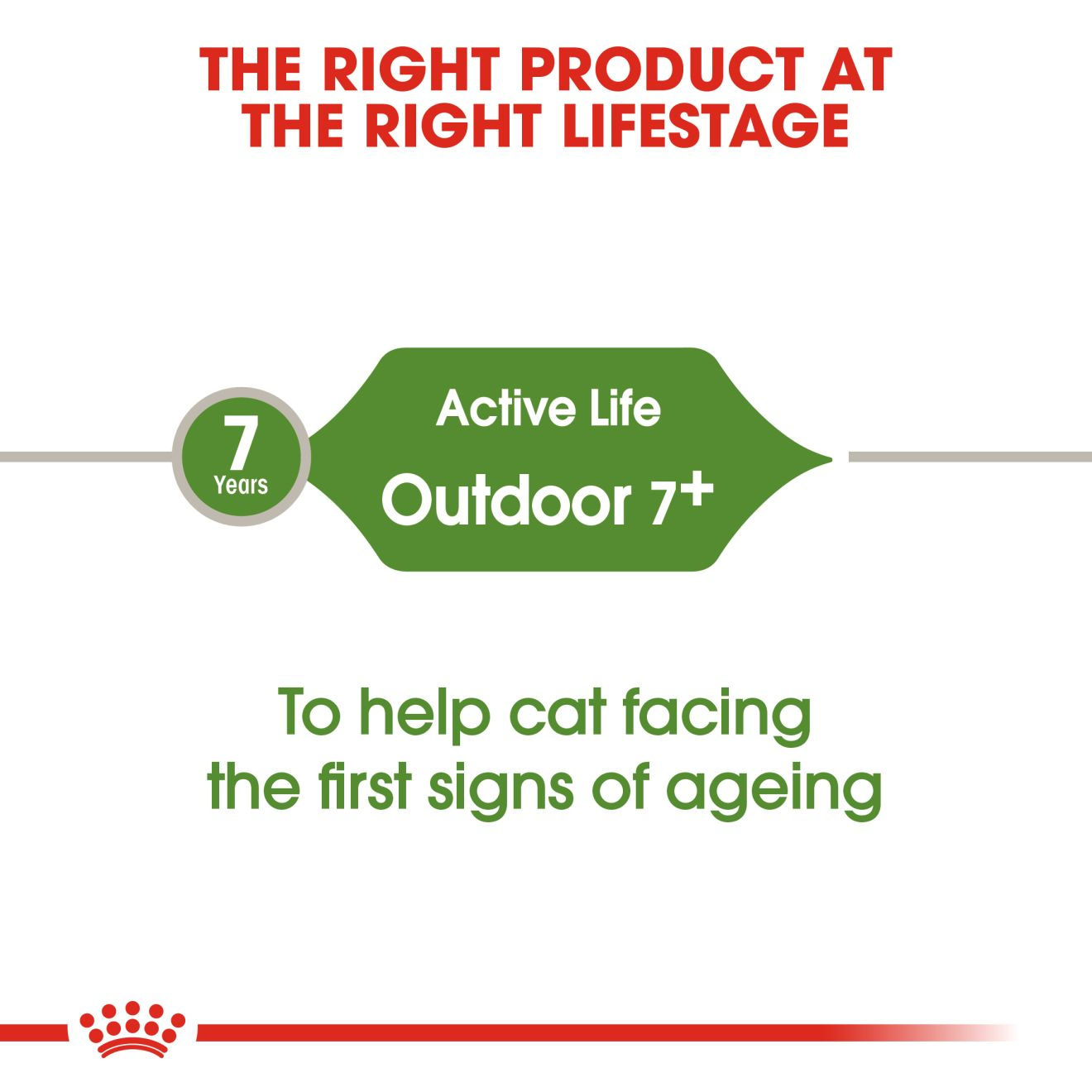 Royal Canin Outdoor +7 Adult Dry Cat Food