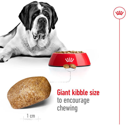 Royal Canin Giant Adult Dry Dog Food