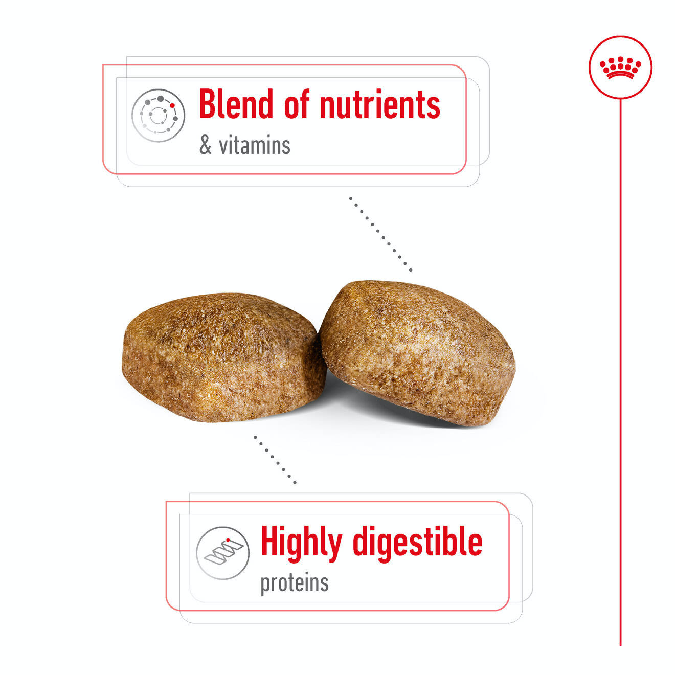 Royal Canin Giant Adult Dry Dog Food