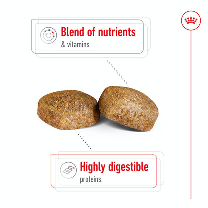 Royal Canin Giant Adult Dry Dog Food