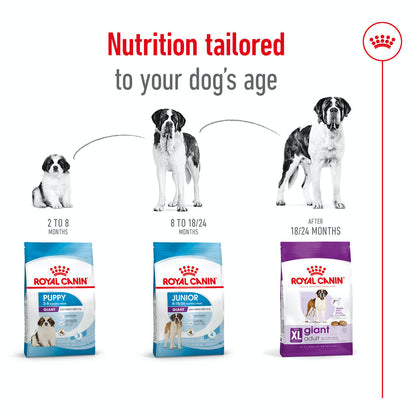 Royal Canin Giant Adult Dry Dog Food